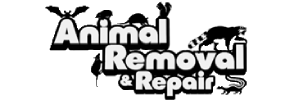 9 Animal Removal & Repair