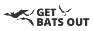 6 Get Bats Out